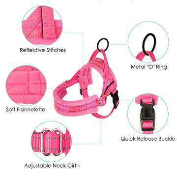 Lukovee Dog Harness and Leash Set, Soft Padded Small Dog Harness, Neck & Chest Adjustable Reflective Vest Puppy Harness with 4ft Lightweight Anti-Twist Dog Leash for Small Dogs (XX-Small, Pink)