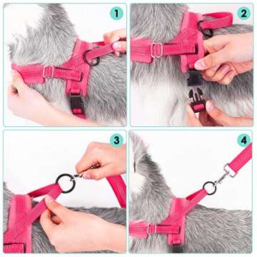 Lukovee Dog Harness and Leash Set, Soft Padded Small Dog Harness, Neck & Chest Adjustable Reflective Vest Puppy Harness with 4ft Lightweight Anti-Twist Dog Leash for Small Dogs (XX-Small, Pink)