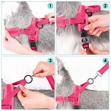 Lukovee Dog Harness and Leash Set, Soft Padded Small Dog Harness, Neck & Chest Adjustable Reflective Vest Puppy Harness with 4ft Lightweight Anti-Twist Dog Leash for Small Dogs (XX-Small, Pink)