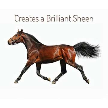 Minsheen Dog Grooming Shampoo and Conditioner, Natural Itch Relief for Dogs and Pets PH Balanced, Made in USA, 64 Concentrated Ounces