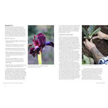 Flower Gardening Guide: Cultivate Your Blooming Paradise