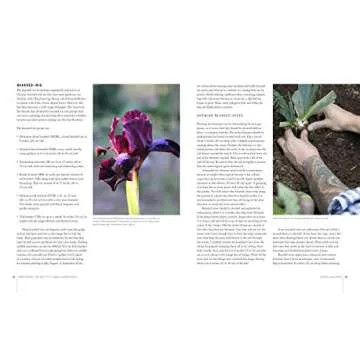 Flower Gardening Guide: Cultivate Your Blooming Paradise