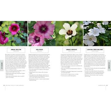 Flower Gardening Guide: Cultivate Your Blooming Paradise