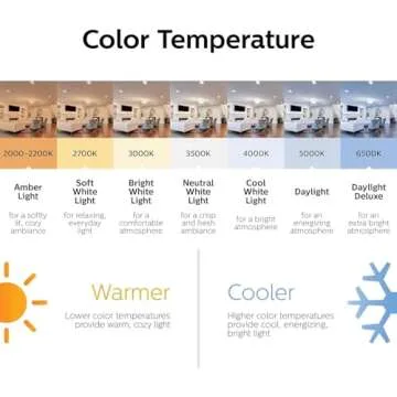 Philips LED Vintage Flicker-Free Amber Spiral A19 Dimmable, Eyecomfort Technology, 400 Lumen, Amber Light(2000K), 6.5W=60W, Title 20 Certified, E26 Base, 1-Pack (565796)