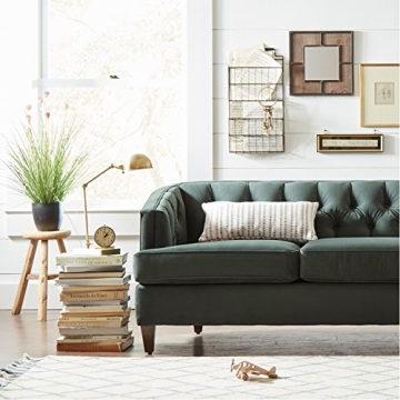 Stone & Beam Vintage Task Desk Lamp in Antique Brass