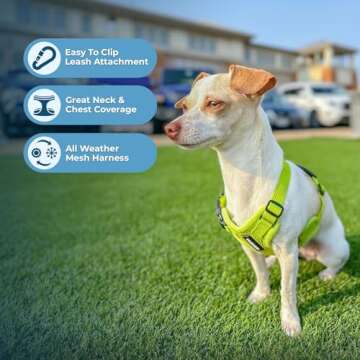 Voyager Step-in Air Dog Harness for Small Pets - Reflective