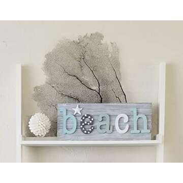 Tumbler Home Real White Seashell Sphere - 3 Inches Wide - Beach House Shelf Decor - Coastal Decorative Balls for Bowls