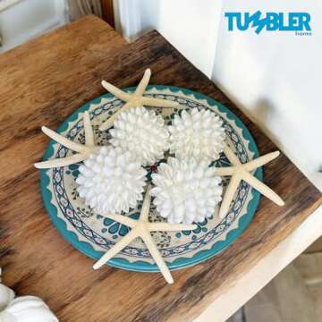 Tumbler Home Real White Seashell Sphere - 3 Inches Wide - Beach House Shelf Decor - Coastal Decorative Balls for Bowls