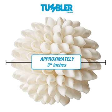 Tumbler Home Real White Seashell Sphere - 3 Inches Wide - Beach House Shelf Decor - Coastal Decorative Balls for Bowls