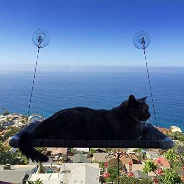 Kitty Cot Original World's Best Cat Perch (Large) Black Color