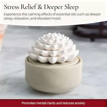 Airomé White Succulent Essential Oil Diffuser - Portable Aromatherapy