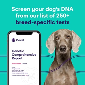 ORIVET Dog DNA Test Kit for French Bulldogs - Health Insights