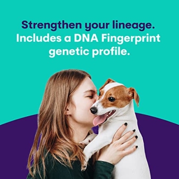ORIVET Dog DNA Test Kit for French Bulldogs - Health Insights