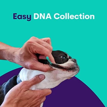 ORIVET Dog DNA Test Kit for French Bulldogs - Health Insights