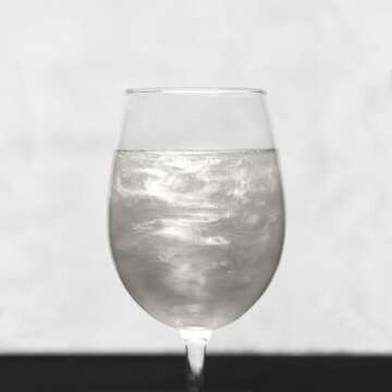 Luster Dust - Antique White (4g 1x Jar) | Edible Vegan Dust & Paint for Cake Decorating, Ice Cream, Desserts, Cocktails and Beverages by Bakell