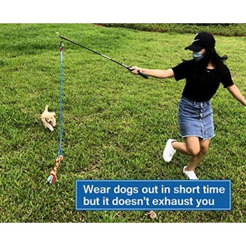 Durable Interactive Flirt Pole Toy for Active Dogs