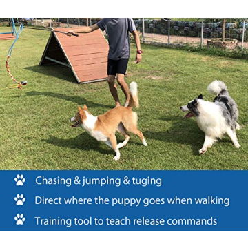 Durable Interactive Flirt Pole Toy for Active Dogs