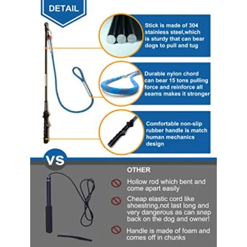 Durable Interactive Flirt Pole Toy for Active Dogs