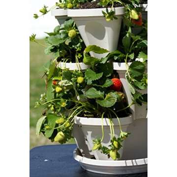 3 Tier Stackable Herb Garden Planter Set with Bottom Saucer - Stone Color - Vertical Container Pots for Herbs, Strawberries, Flowers