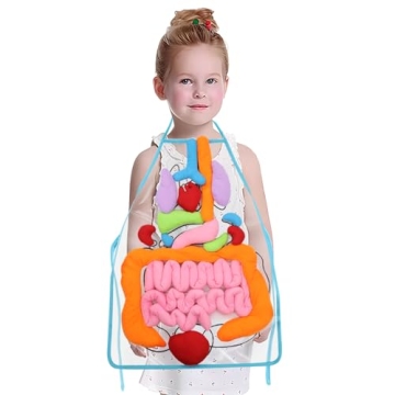 KAKIBLIN 3D Organ Apron, Upgrade Version for Anatomy Learning