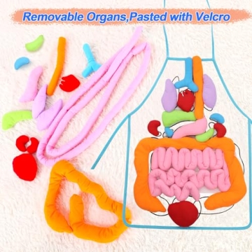 KAKIBLIN Anatomy Apron for Educational Fun