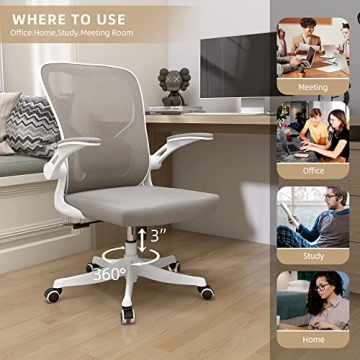 Monhey Ergonomic Desk Chair with Lumbar Support & Flip-up Arms