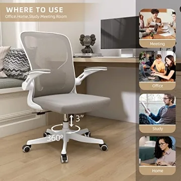 Monhey Ergonomic Desk Chair with Lumbar Support & Flip-up Arms