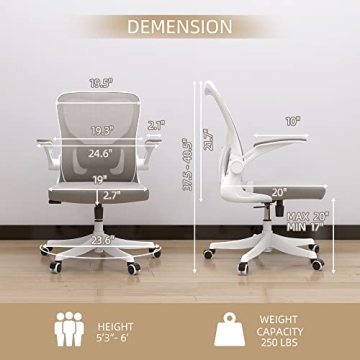 Monhey Ergonomic Desk Chair with Lumbar Support & Flip-up Arms