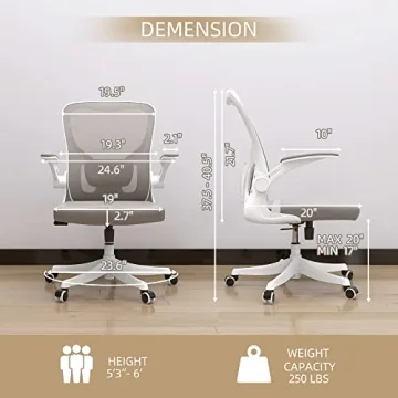 Monhey Ergonomic Desk Chair with Lumbar Support & Flip-up Arms