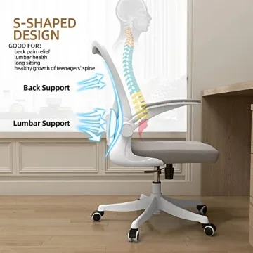Monhey Ergonomic Desk Chair with Lumbar Support & Flip-up Arms