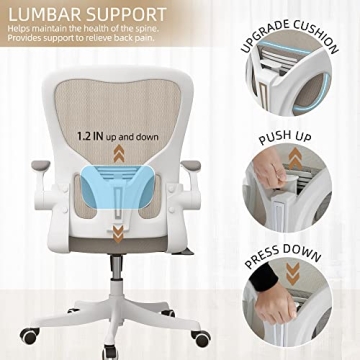 Monhey Ergonomic Desk Chair with Lumbar Support & Flip-up Arms