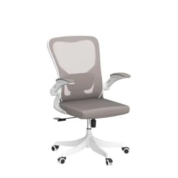 Monhey Ergonomic Desk Chair with Lumbar Support & Flip-up Arms