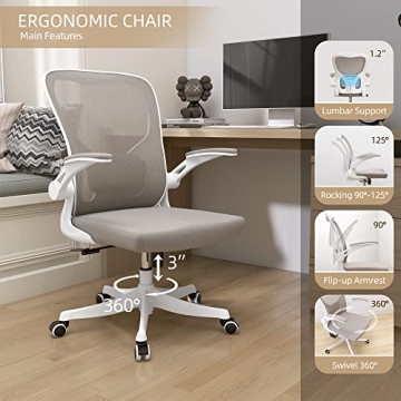 Monhey Ergonomic Desk Chair with Lumbar Support & Flip-up Arms