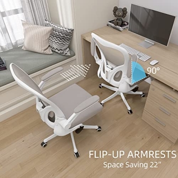 Monhey Ergonomic Desk Chair with Lumbar Support & Flip-up Arms