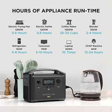 EcoFlow RIVER Pro Portable Power Station for Camping and Emergencies