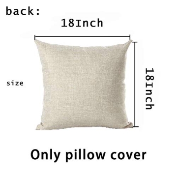 Stylish Ocean Beach Throw Pillow Covers Blue Crab 18x18