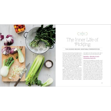 Creative Recipes for Fermenting Vegetables & Herbs