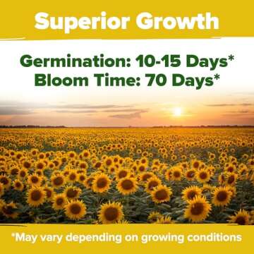 Grow Home Grown Sunflowers | 520+ Giant Mammoth Seeds Pack