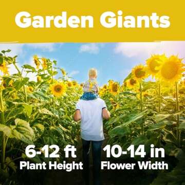Grow Home Grown Sunflowers | 520+ Giant Mammoth Seeds Pack