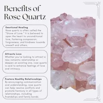 SAOI Crystal Water Bottle - Rose Quartz Gemstone Infused Elixir - Natural Wellness Healing - Glass/Stainless Steel