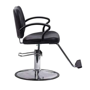 Beauty Style Classic Hydraulic Barber Chair Styling Chair Salon Beauty Spa Equipment …
