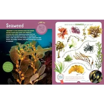 Backpack Explorer Beach Walk - Engage Kids with Nature