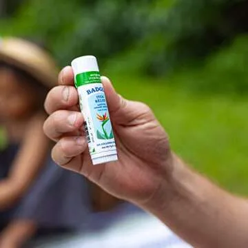 Badger Bug Bite Itch Relief Stick, Natural & Organic Anti Itch Cream for Bug Bites, Rashes & Poison Ivy, Fast Itchy Skin Relief After Bite, Works Great, Smells Great, Easy to Use, .6 oz, 2-Pack