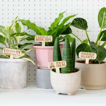 Patio Eden 12 Pack Wooden Garden Markers - 2.75 x 4" Funny Plant Markers - Perfect Gifts for Gardeners, Funny Gardening Gifts, Unique Plant Stuff