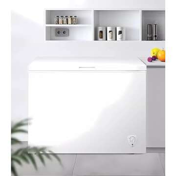 10 Cu Ft Deep Chest Freezer with Adjustable Control and Basket