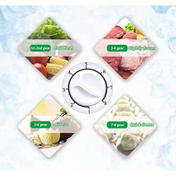 10 Cu Ft Deep Chest Freezer with Adjustable Control and Basket