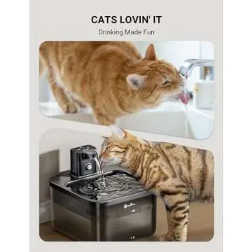 DownyPaws - Rechargeable Cat Water Fountain for Hydration