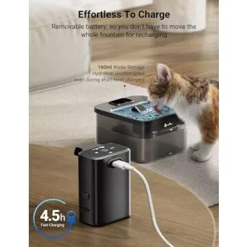 DownyPaws - Rechargeable Cat Water Fountain for Hydration