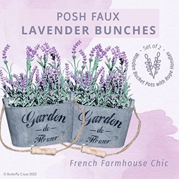 Butterfly Craze Lavender in Rustic Planters for Home