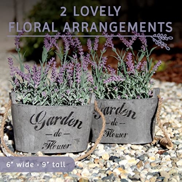 Butterfly Craze Lavender in Rustic Planters for Home